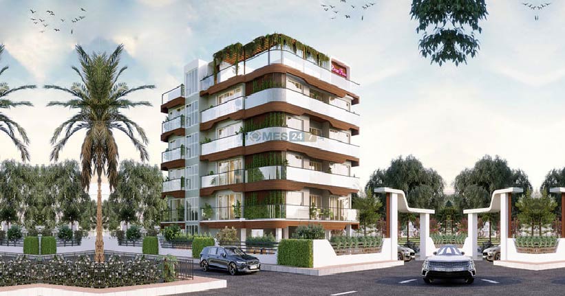 Dream Flower Melodium Cover Image 